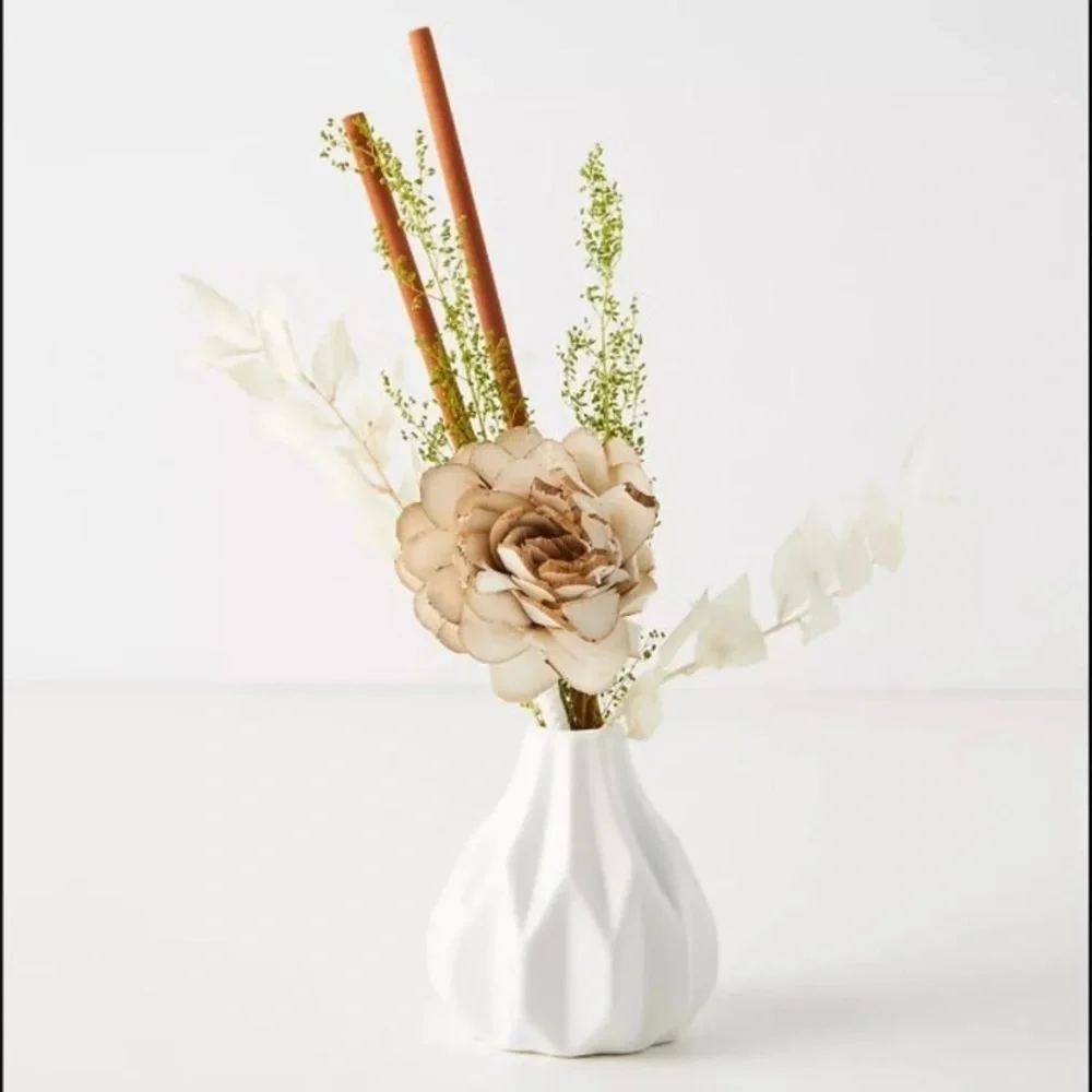 Anthropologie Home Ceramic Diffuser